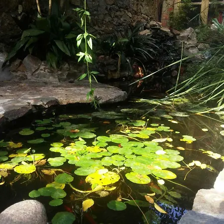 Zia Chiarina San Nicolo Gerrei