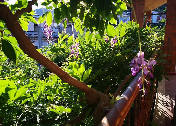 לינה וארוחת בוקר Zia Chiarina San Nicolo Gerrei