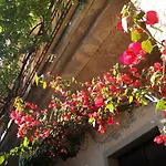 Zia Chiarina Bed & Breakfast San Nicolo Gerrei