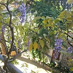 Zia Chiarina Bed & Breakfast 3*