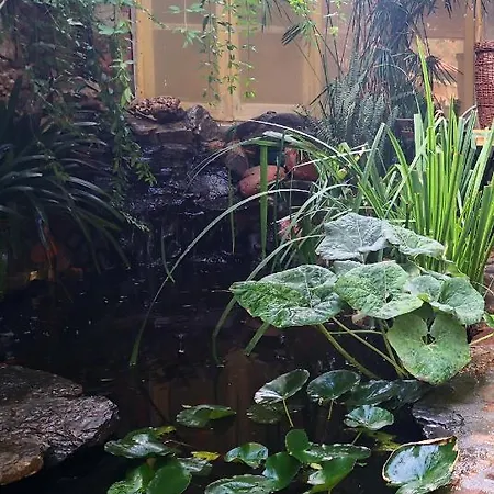 Zia Chiarina Alojamento de Acomodação e Pequeno-almoço