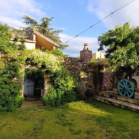 Zia Chiarina 3*