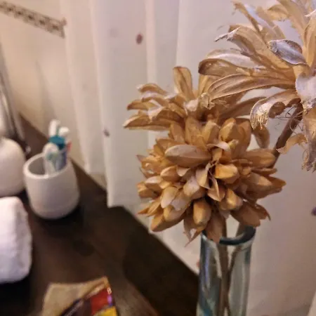 Alojamento de Acomodação e Pequeno-almoço Zia Chiarina 3*