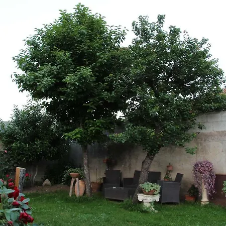 Zia Chiarina Bed & Breakfast San Nicolo Gerrei