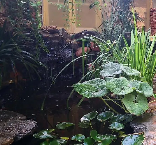 Zia Chiarina Отель типа 